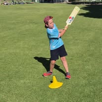 Cricket
